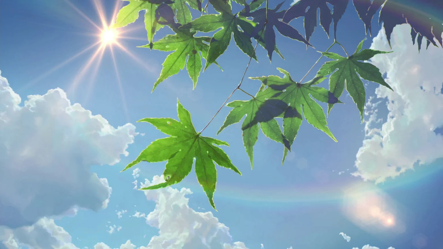 第一个文章